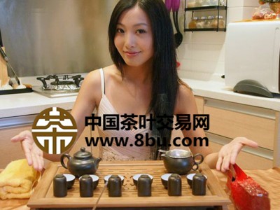 美女教您泡茶