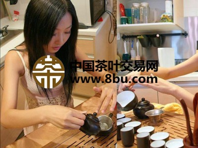 美女教您泡茶