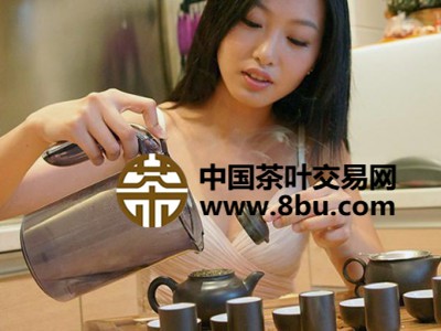 美女教您泡茶