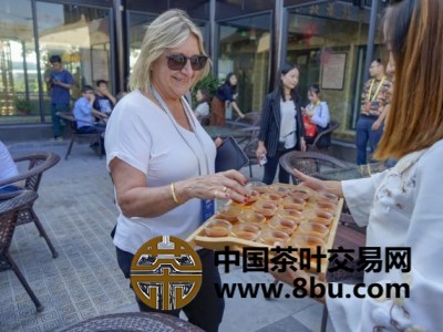 外国记者体验陕西茯茶文化