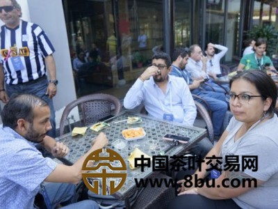 外国记者体验陕西茯茶文化