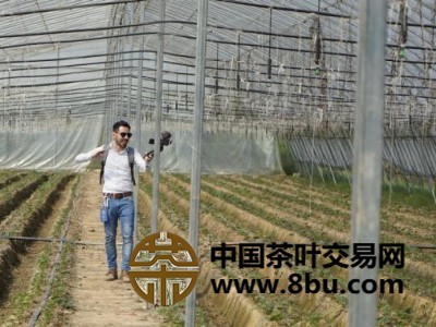 访学班成员参观无花果种植园区