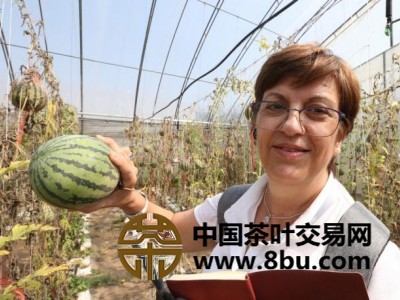 访学班成员参观无花果种植园区