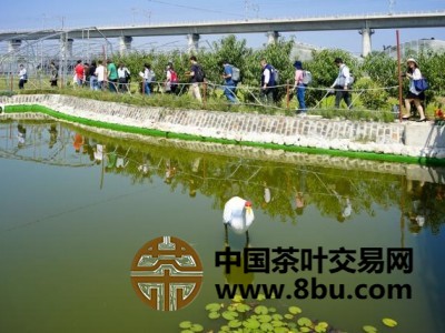 访学班成员参观无花果种植园区