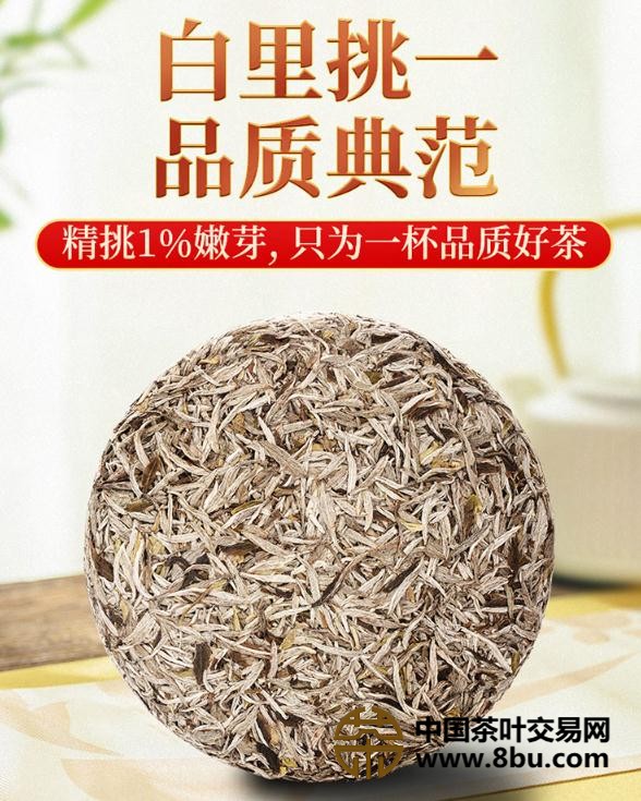 福鼎白茶