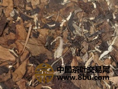 福鼎白茶招商图2