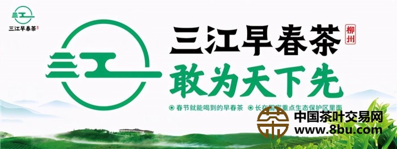 三江早春茶品牌战略发布会