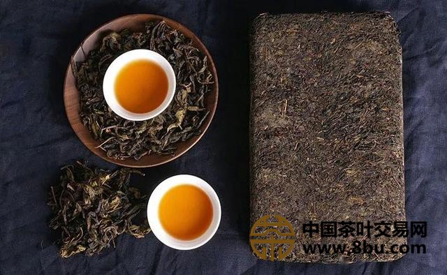 黑茶金花菌