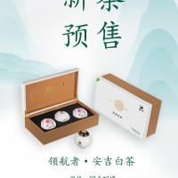 极白白茶（新茶预售）