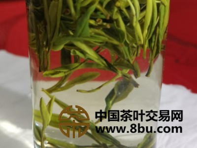 21年春茶明前茶舒城小兰花、毛尖、霧豪、翠兰等绿茶图2