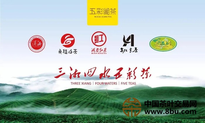五彩湘茶