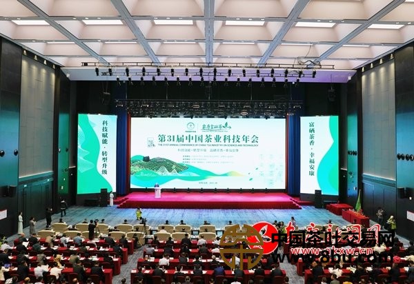 第31届中国茶业科技年会
