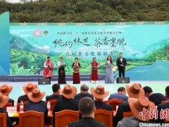 打造“茶旅”名片 西藏墨脱首届茶文化旅游季开幕