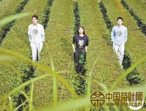 微信截图_20250527111442